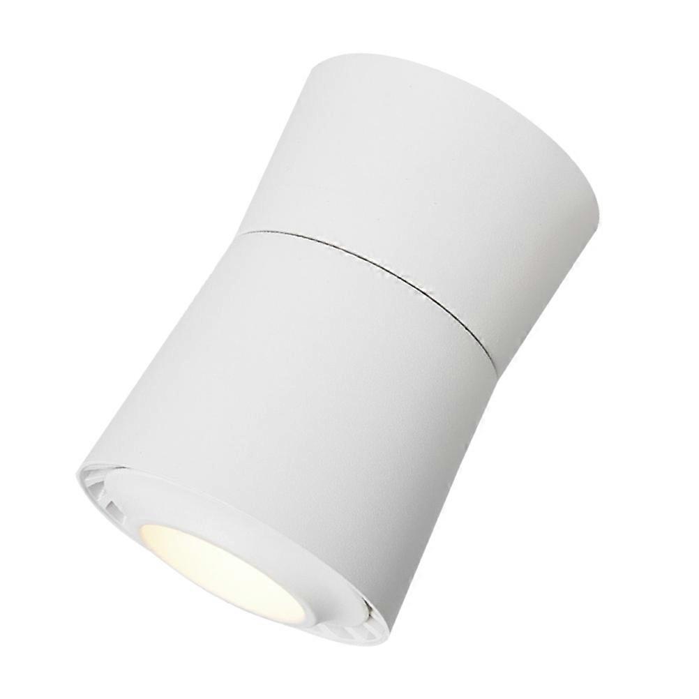 Spot Light LED Adjustable Ceiling Downlight for Lighting 3W