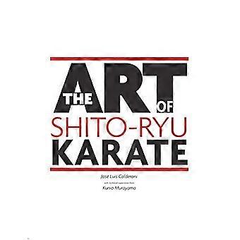 L'arte del s*ito Ryu Karate