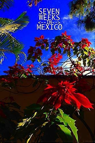 Sieben Wochen in Mexiko: Bufogenese, Buch 1