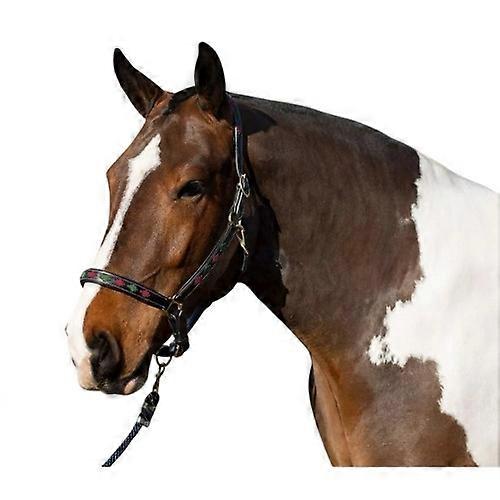 Gallop Diamond Ledergepolstertes Pferdehalfter