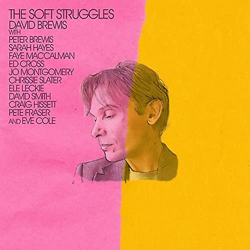 David Brewis - The Soft Struggles  [VINYL]