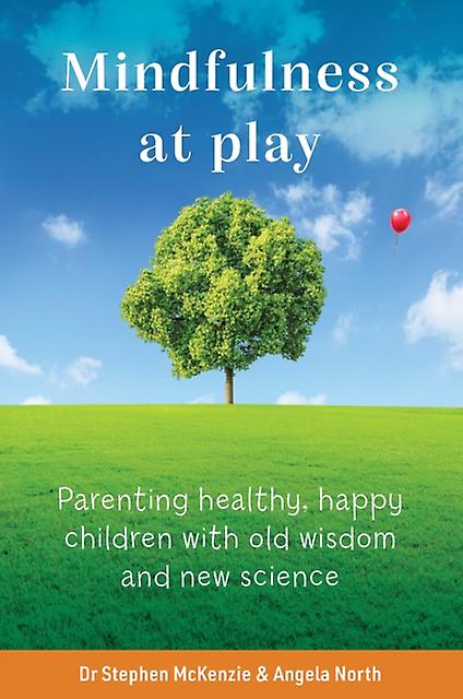 Mindfulness At Play by Stephen McKenzie Paperback