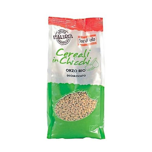 Hulled barley 500 g