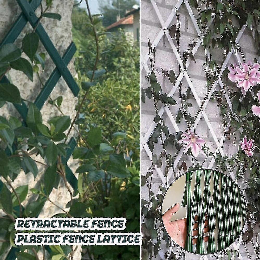 Default plastic expanding green plastic wall fence foldable trellis garden trellis z36484