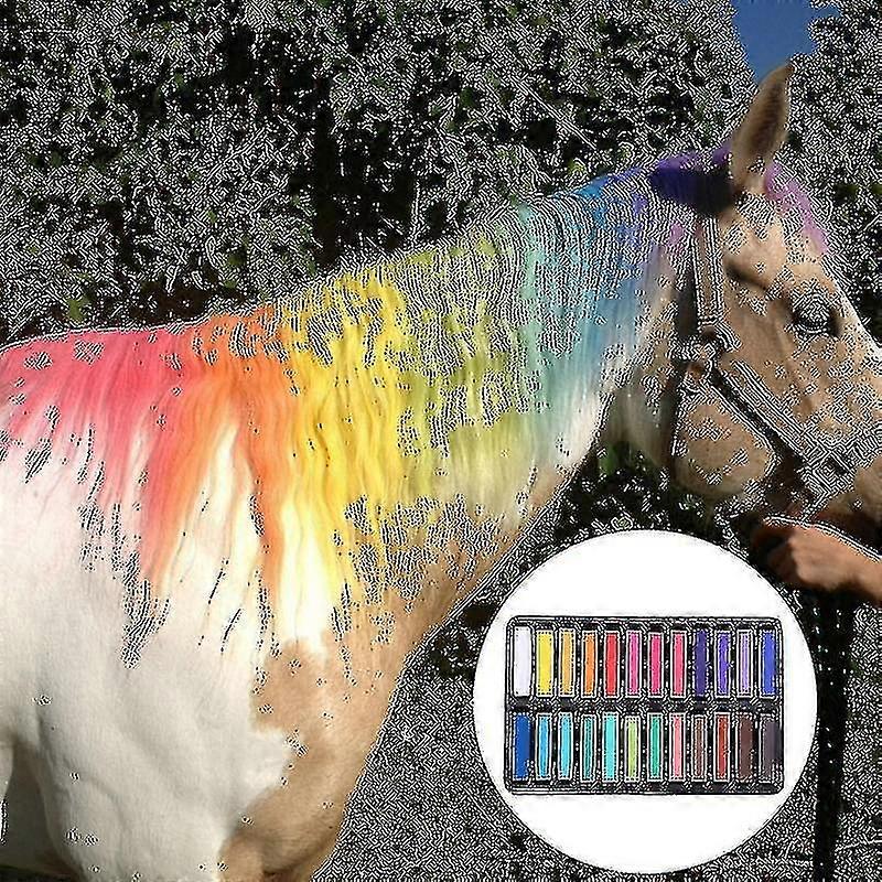 6/12/24/36 Color Non-toxic Horse Hair Chalk Temporary Dye Colour Styling Kit