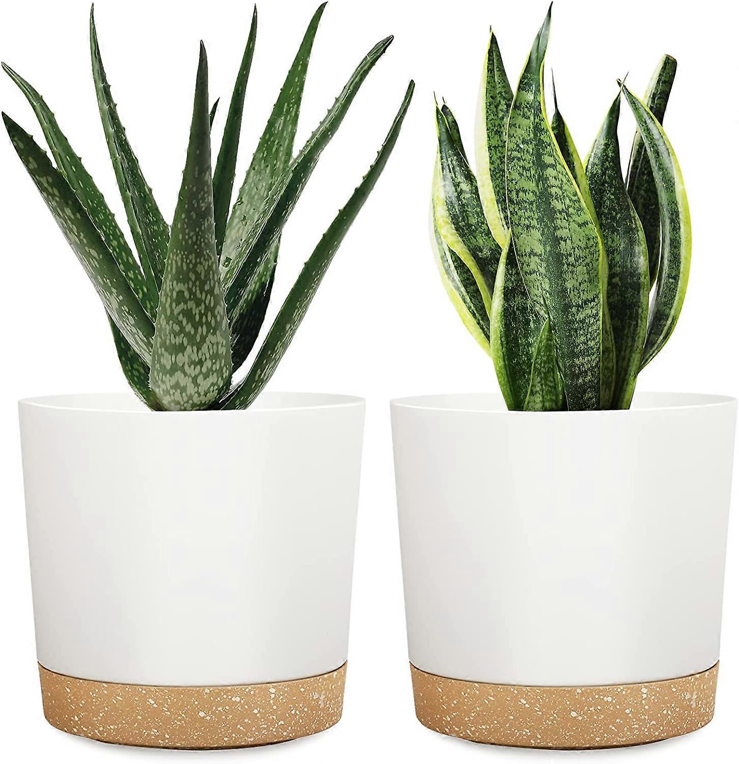 2Pcs Plastic Flower Pots with Saucers
