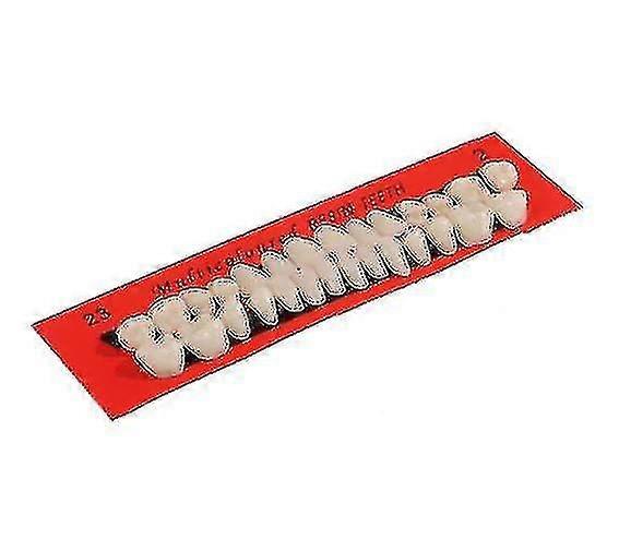 28pcs Set Resi Teeth Resin Teeth
