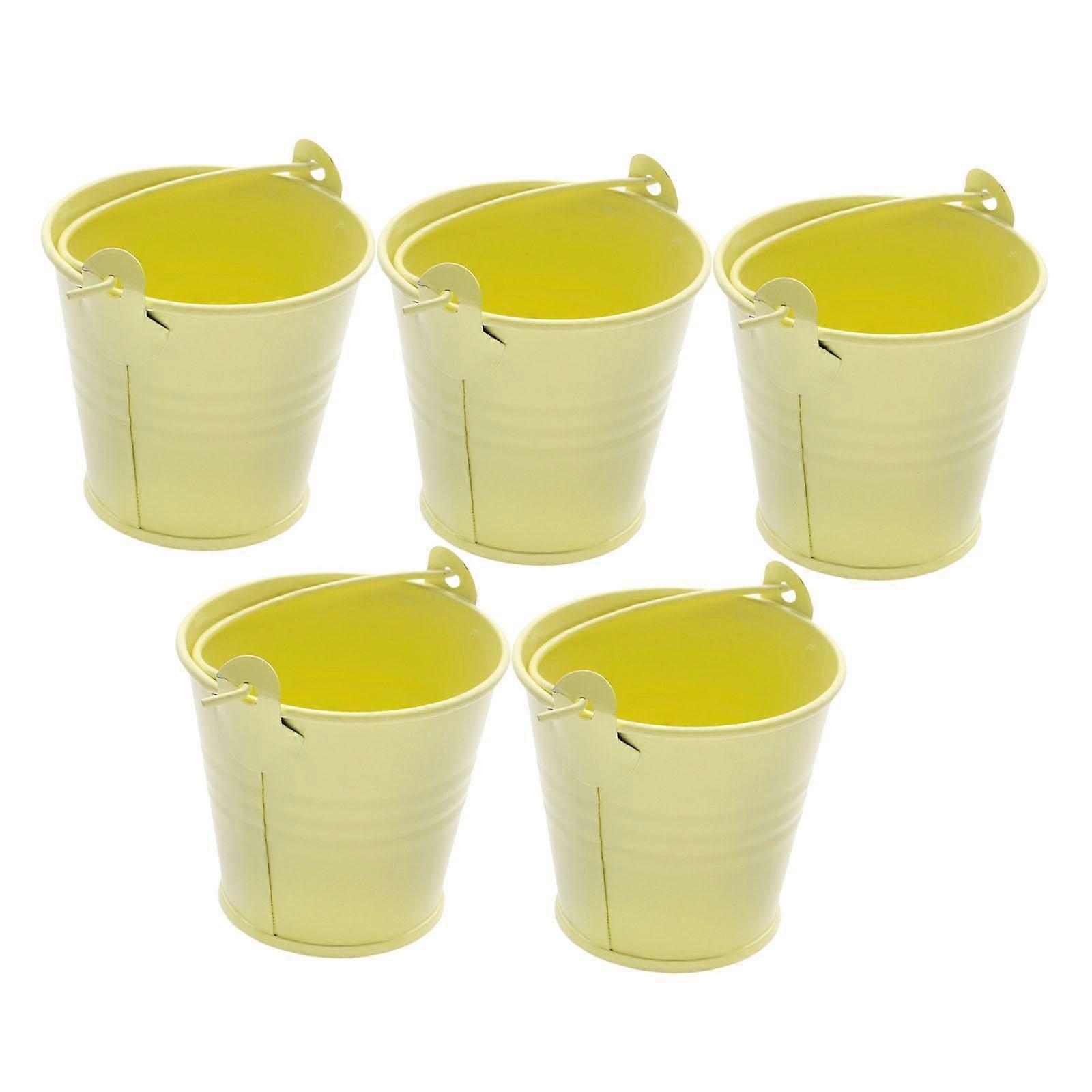 5 Pieces Small Metal Buckets Mini Candy Tiny Versatile Decor Plant Pots