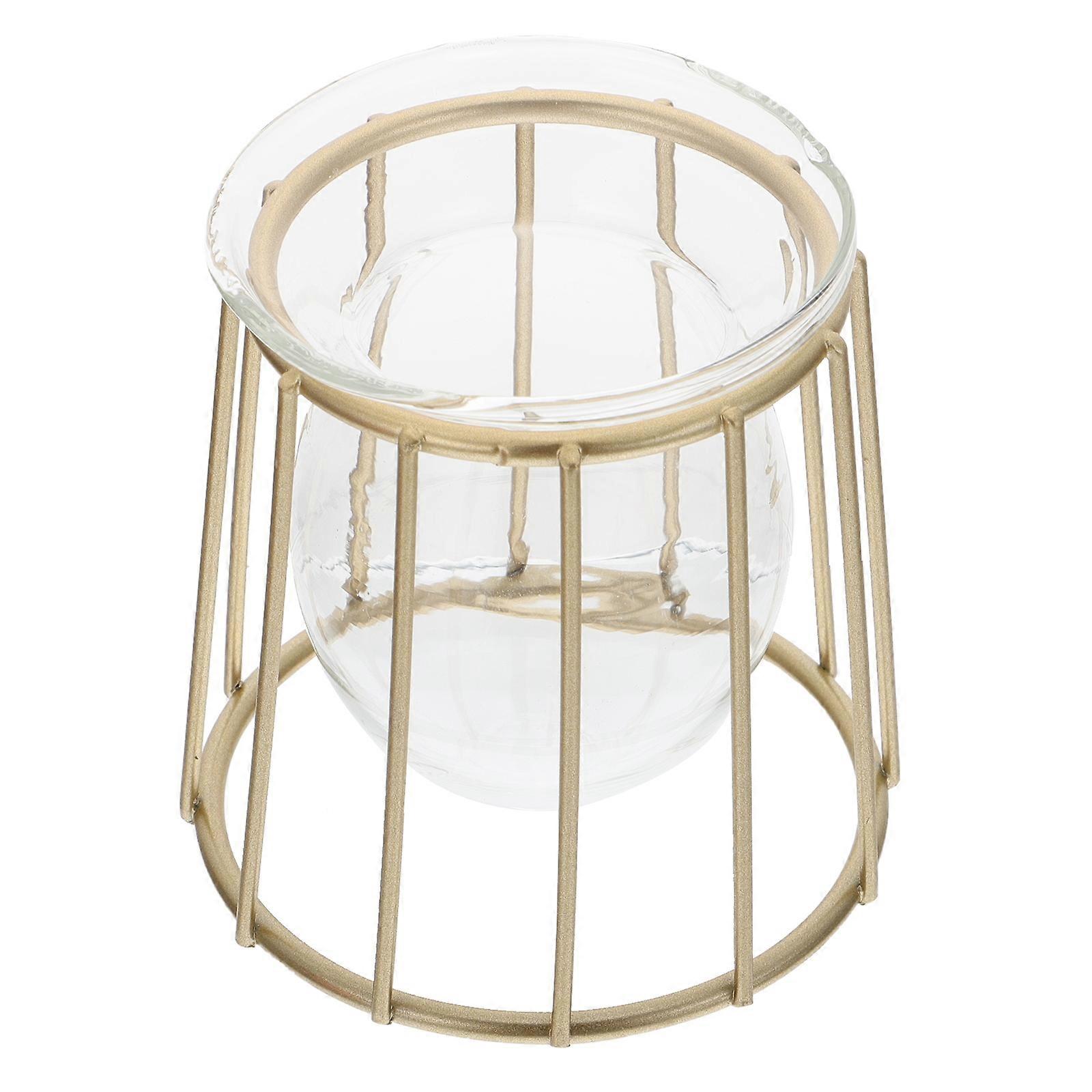 Hydroponic Glass Vase with Iron Art Rack for Plants – Decorative Flower Container for Home & Office, Unique Desktop Ornament