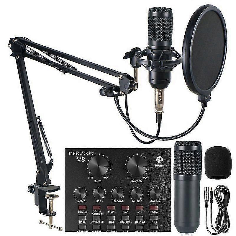 Karaoke Microphone Sound Card