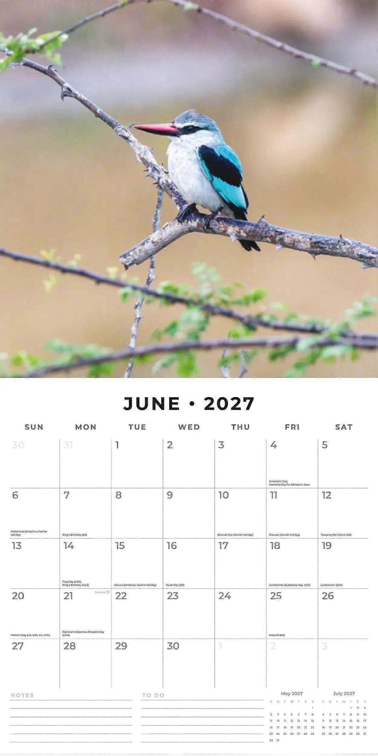 Red Robin Red Robin Kingfisher Calendar 2026
