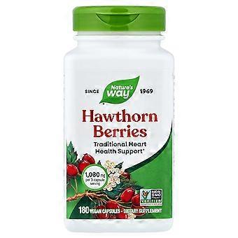 Nature's Way, Hagebutten, 180 vegane Kapseln (360 mg pro Kapsel)