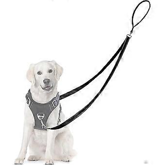 Two Point Control Dog Leash Professional Anti-Pull Dog Lead with Reflective Stitching and Soft Padded Easy to Convert to Single Lead (Black)