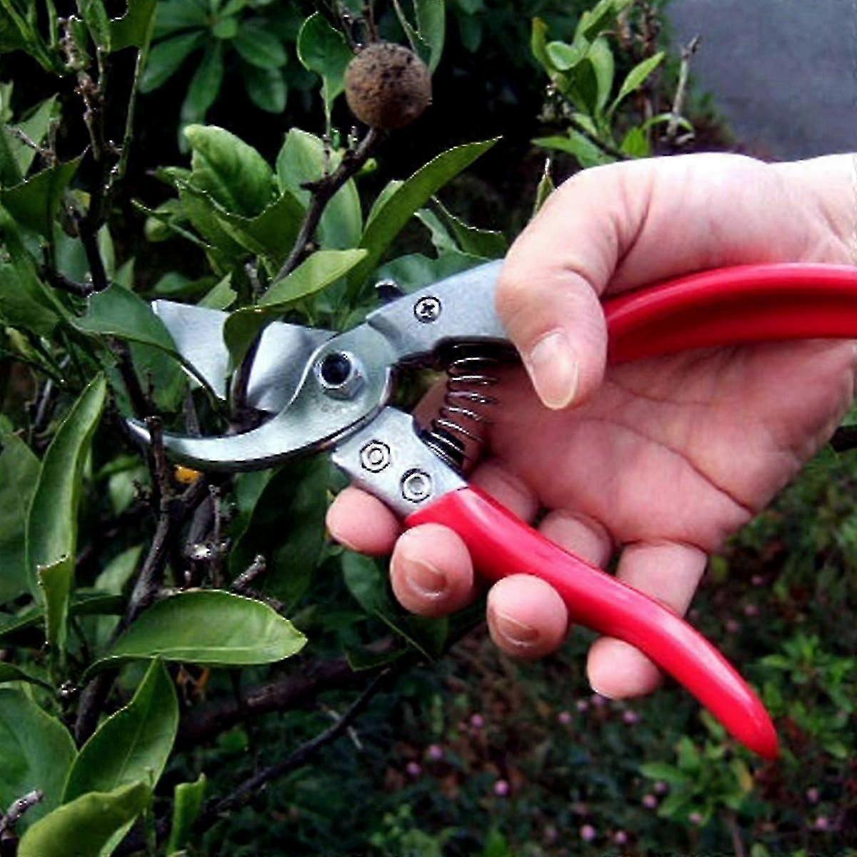 vs-8z, pruning shears, ARS-VS-8XZ-JNNJV