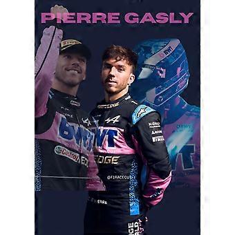 Pierre Gasly Jigsaw Puzzles DS-149