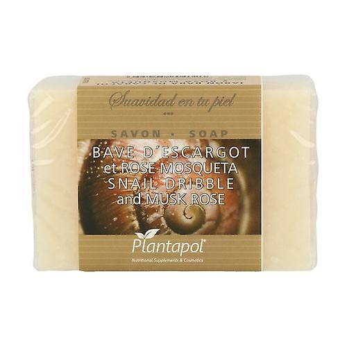 Snail Slime and Rosehip Natural Soap 100 g (Rosehip)