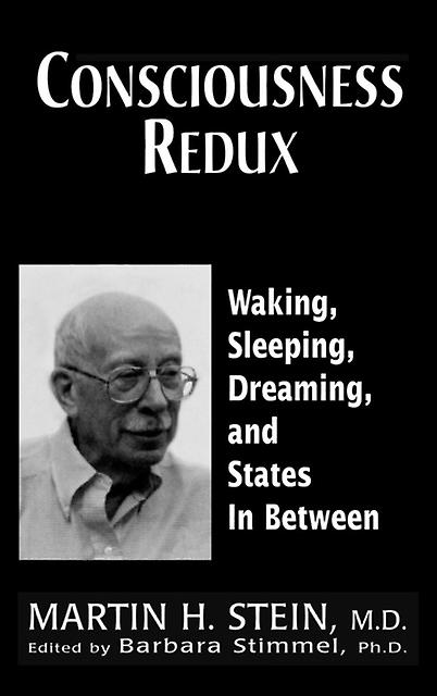 Consciousness Redux by Martin H. Stein Paperback Book