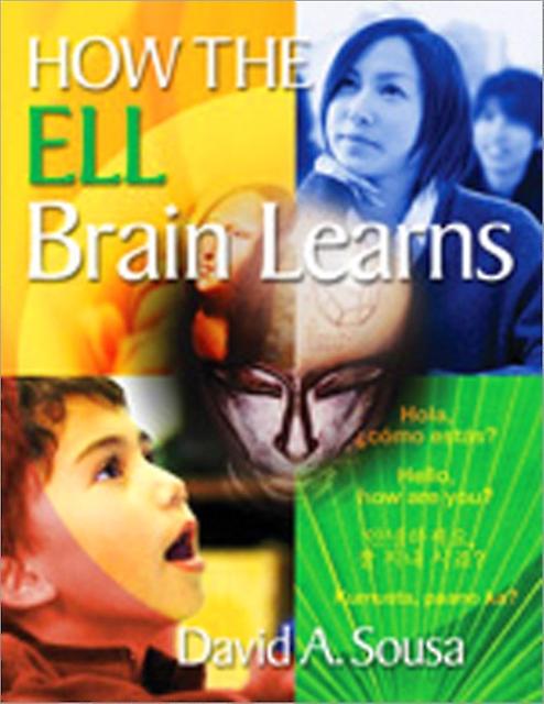 How The Ell Brain Learns by David A. Sousa Paperback