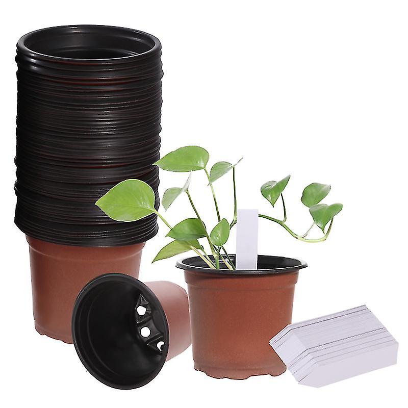 100pcs Pflanztöpfe