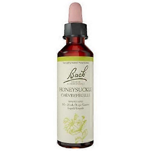 Honeysuckle, 20 ML by Bach