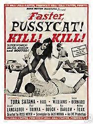 Coño más rápido gato-12x18