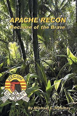 Apache Ricognizione