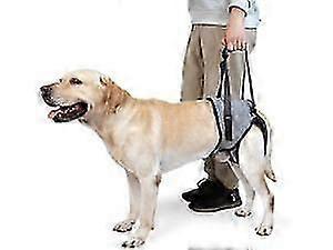 大型犬用犬用スリング 後肢サポートが弱い後肢障害関節炎ACL回復を持つ高齢犬の後肢のリハビリテーションを支援する