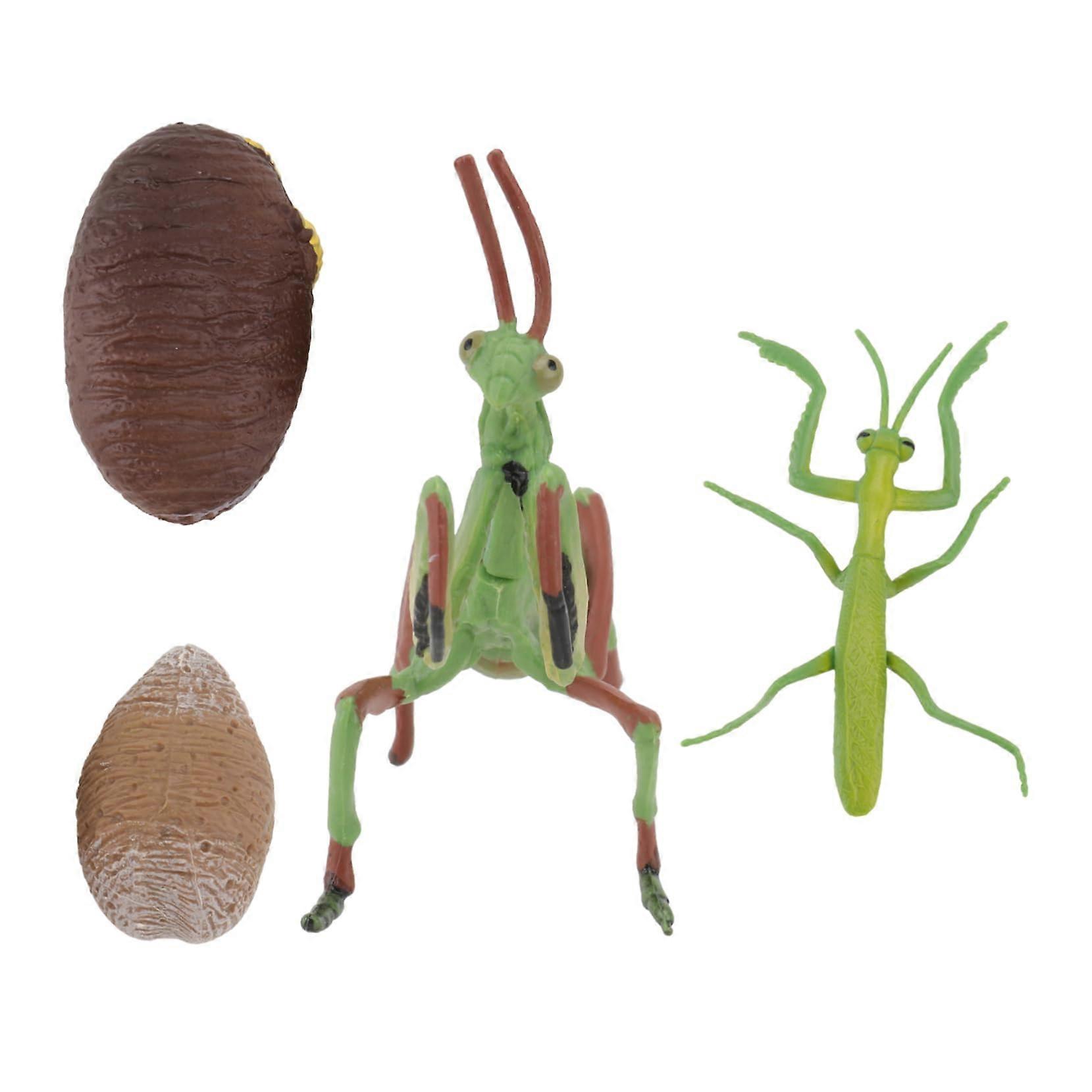 "Simulated Animal Life Cycle Models Set of Snails, Grasshoppers, and Praying Mantis for Coordination Skills, Durable and Practical"