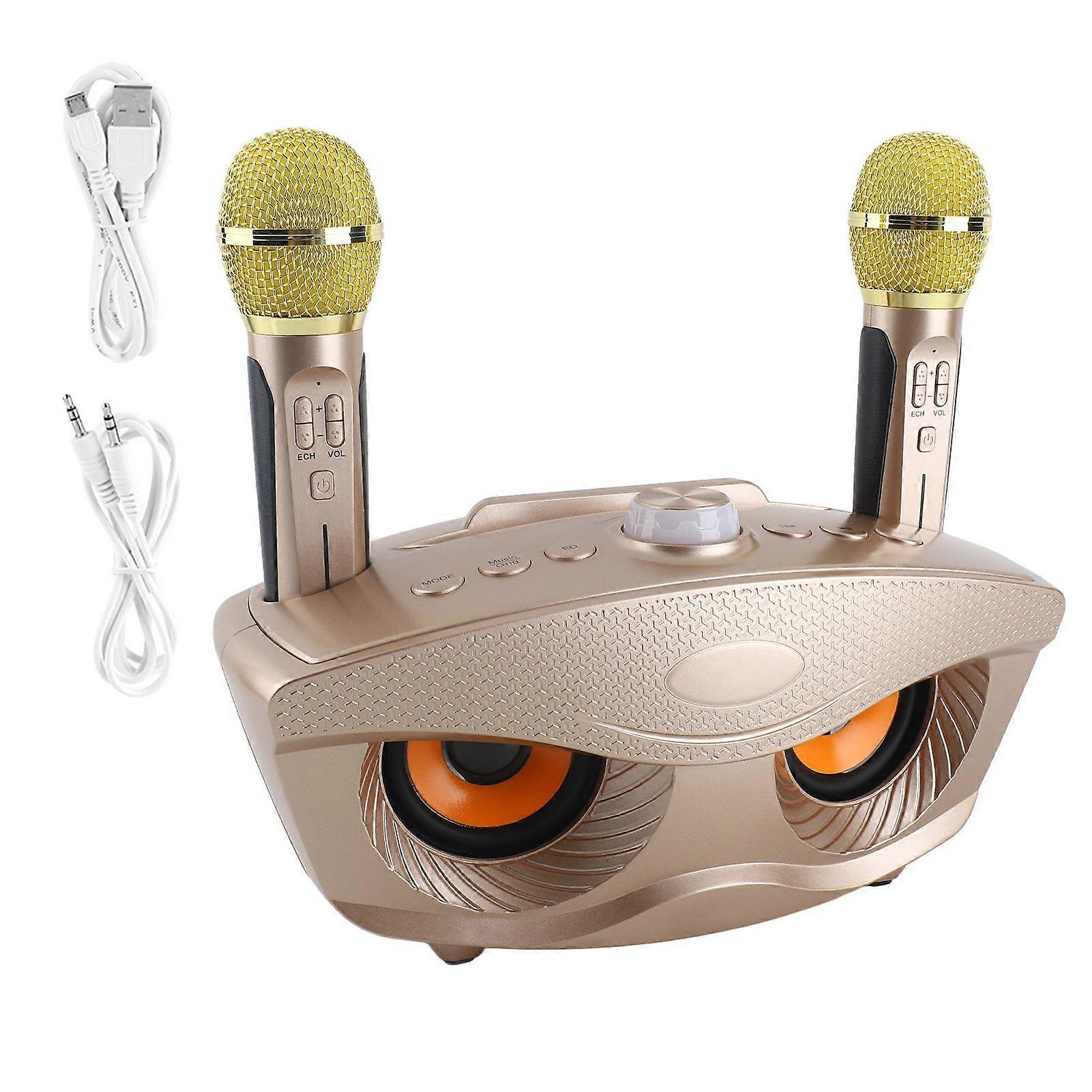 Bluetooth Speaker Home KTV Karaoke Bluetooth Speaker with Two Microphone (Gold)