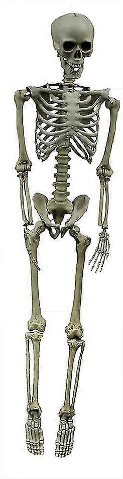 Hooked Skeleton - Costume Accessory