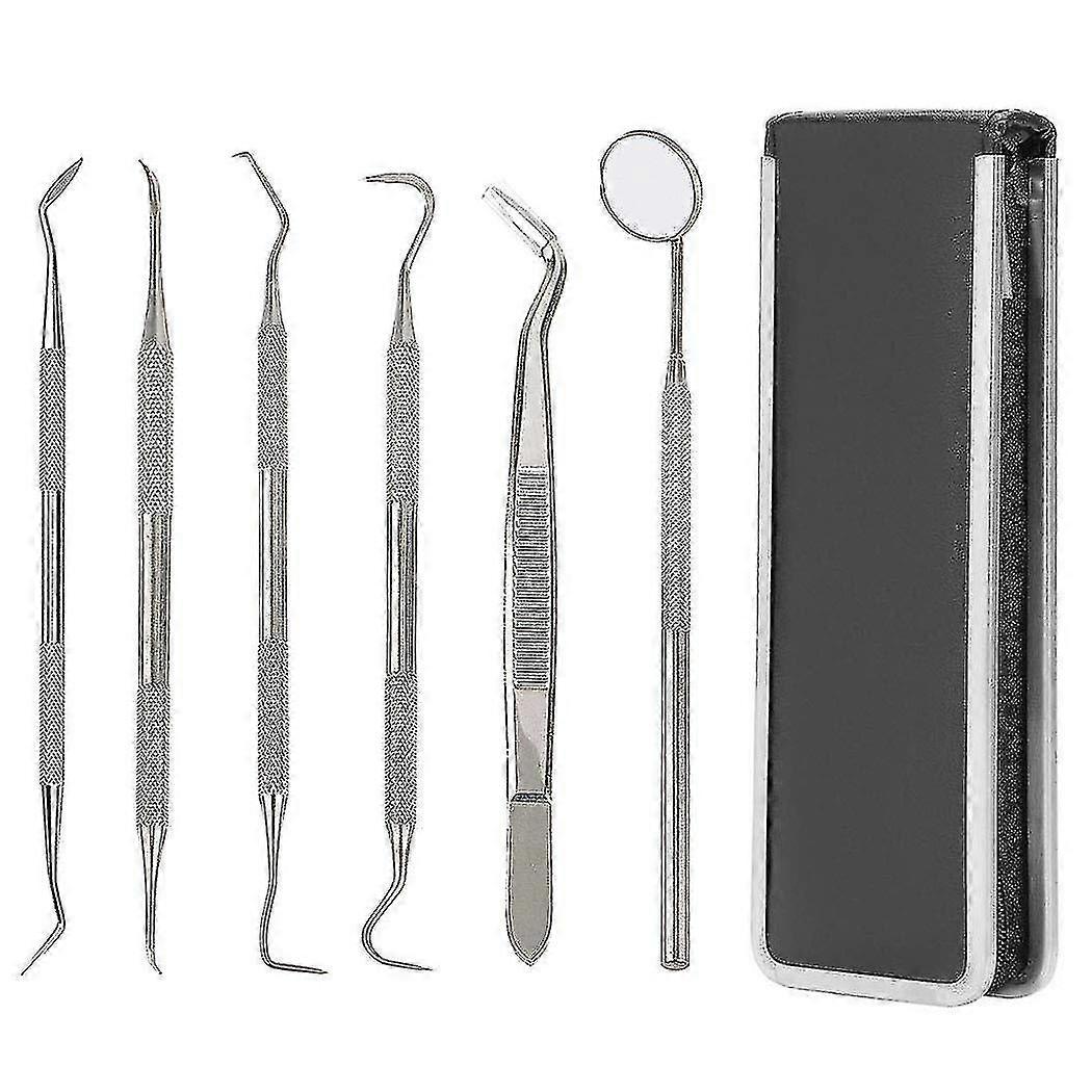 6pc Dental Tools For Dental Hygiene With Shell