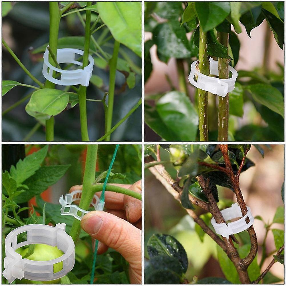 Support Garden Clips Weatherproof Non-Rusting For Outdoor Use 150Pcs