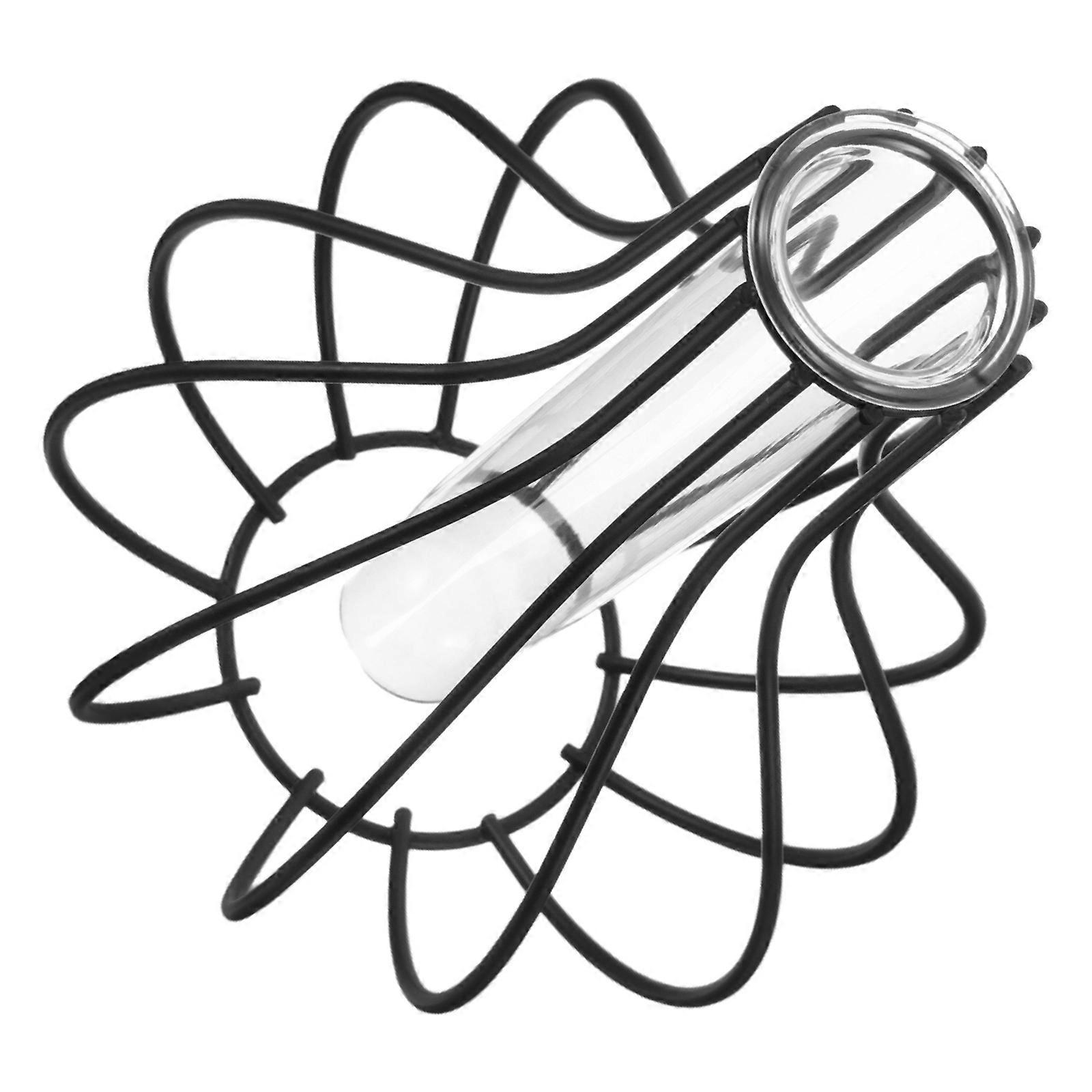 Flower Vase with Wrought Iron Frame for Display