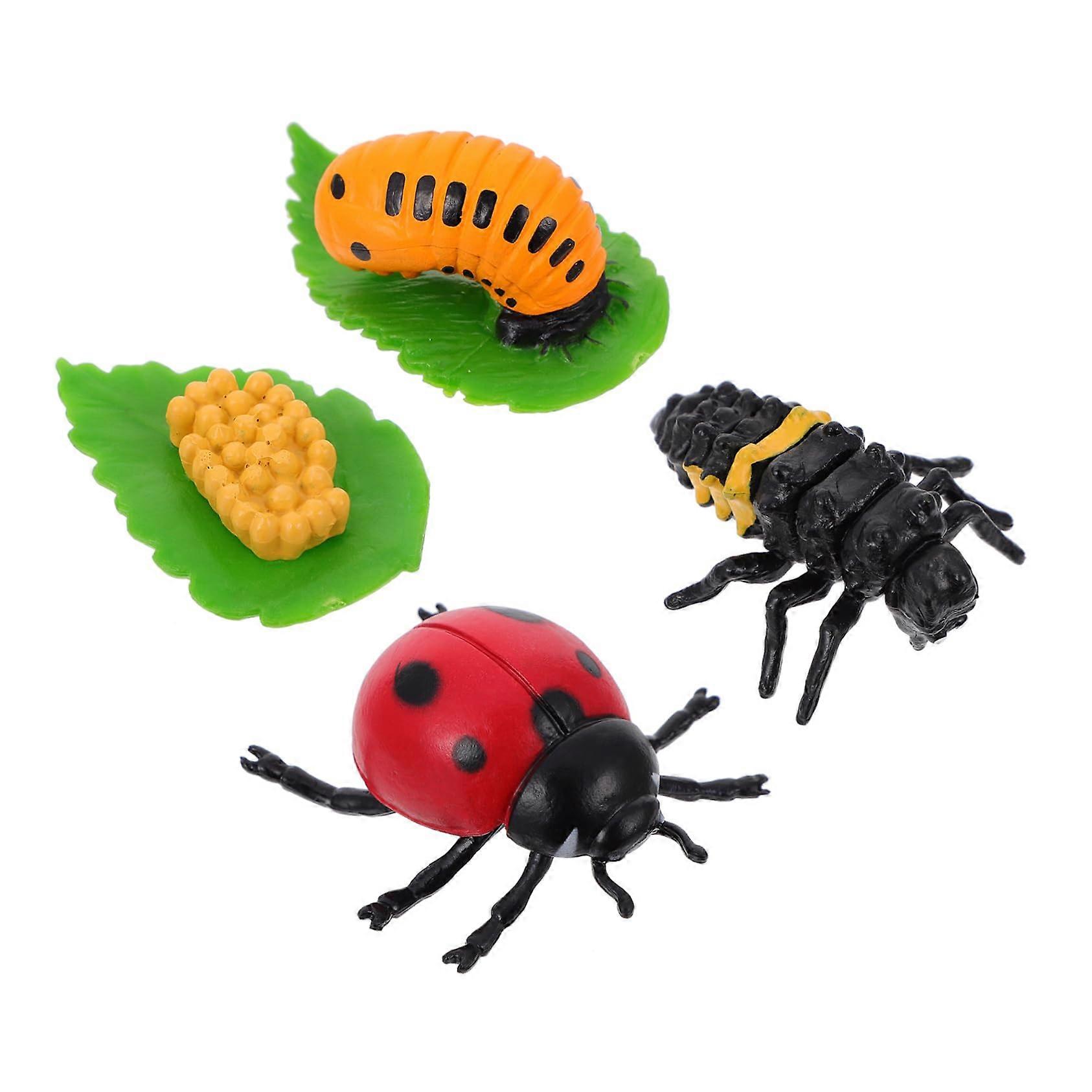 4Pcs Ladybug Life Cycle Educational Figurines for Classroom Learning and Home Decoration