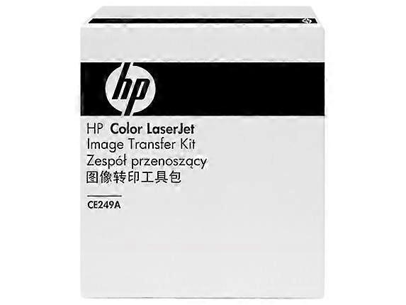 Intermediate Transfer Belt