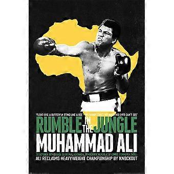 ALI - RUMBLE IN THE JUNGLE - BOXE Quebra-cabeça de madeira - 4778 -A1717