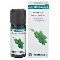 Organic Basil Essential Oil 10 ml