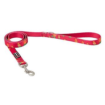 Freedog Carrot Printed Nylon Leash for Dogs (Dogs , Collars, Leads and Harnesses , Leads)