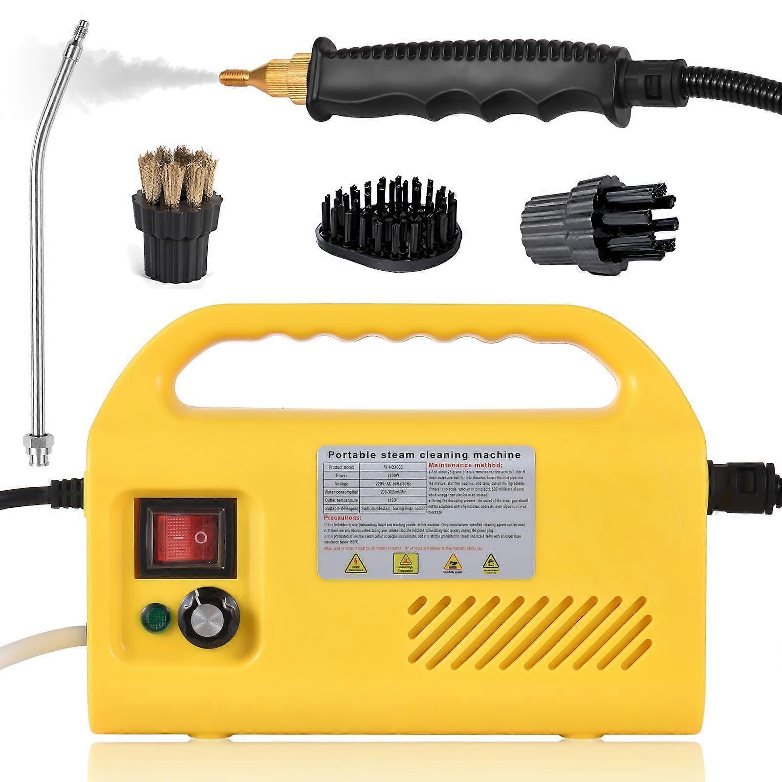 2500W Handheld Steam Cleaner Tankless Design High Temperature Handheld Self-control Steam Cleaning