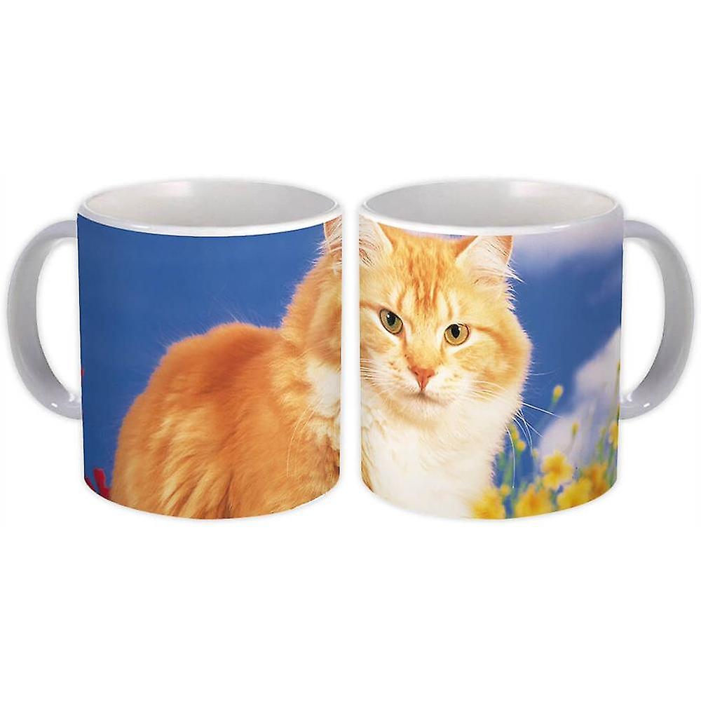 Hediye Kupa: Kedi Hayvan