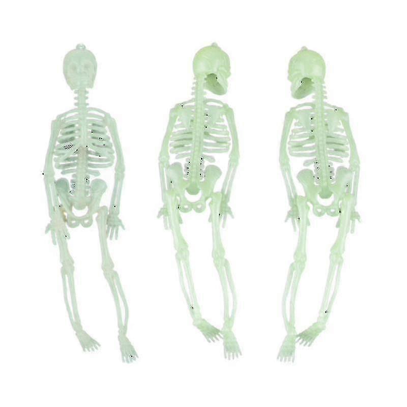 Halloween Skeleton Decorations - 8pcs