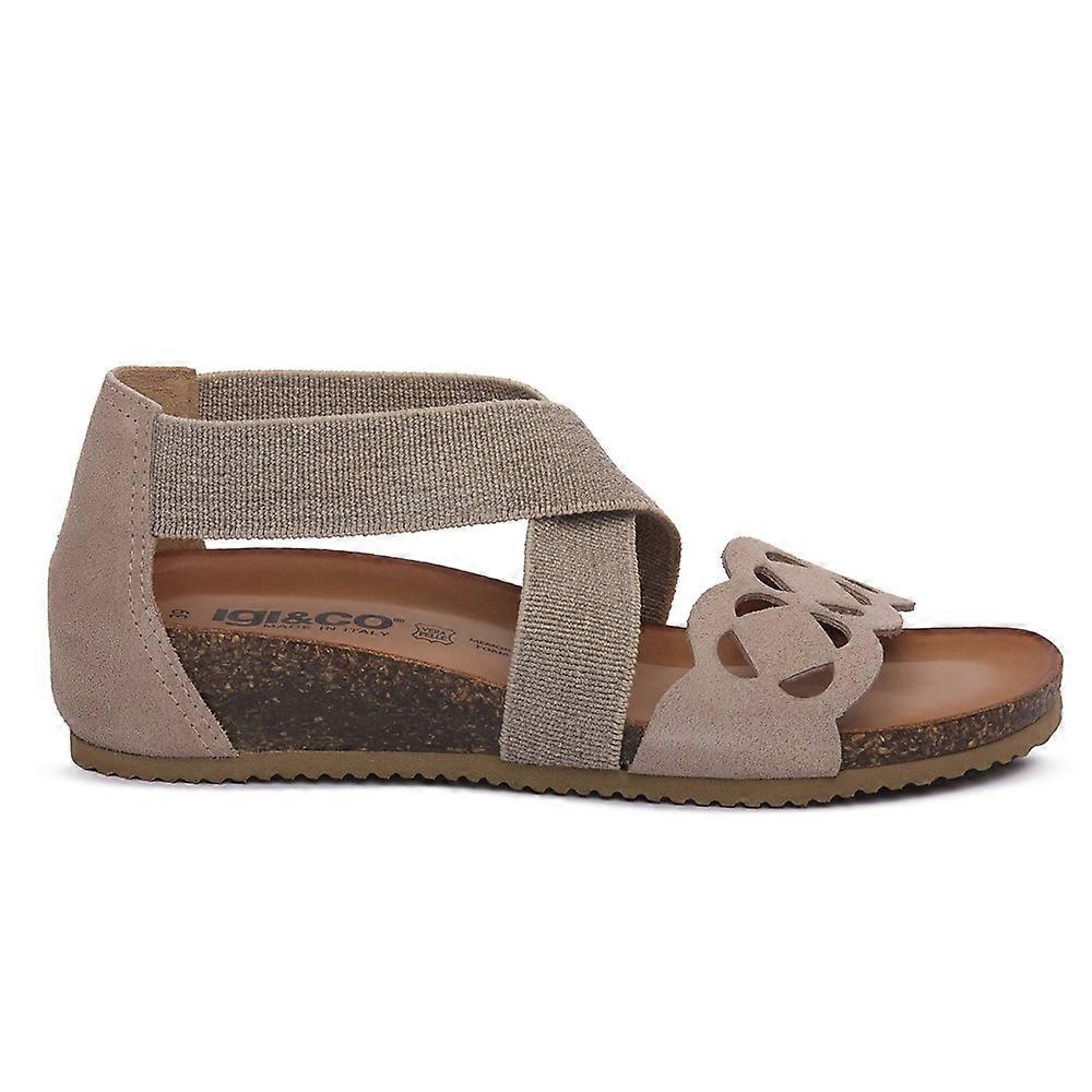 Shoes IGI&CO 7698033