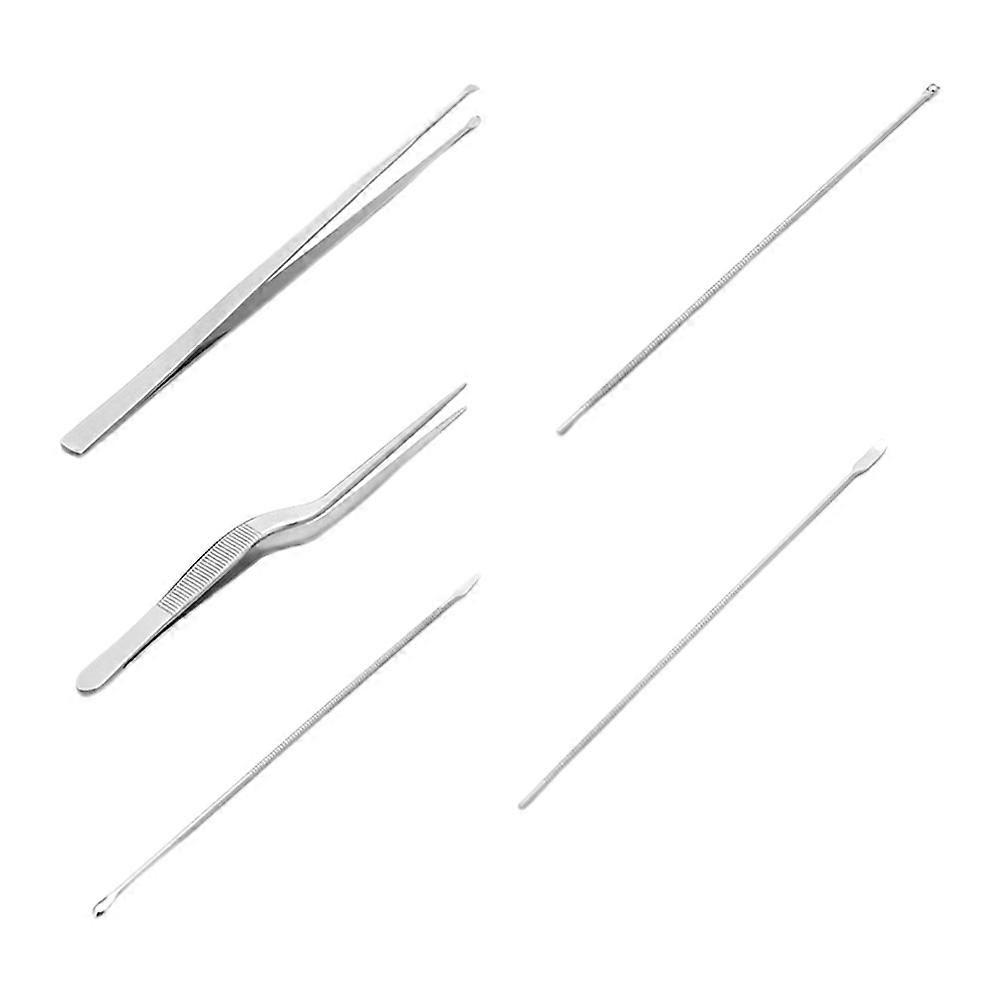 Stainless Steel Ear Wax Removal Tool with 5 Different Shapes for Safe and Comfortable Home Use Silver