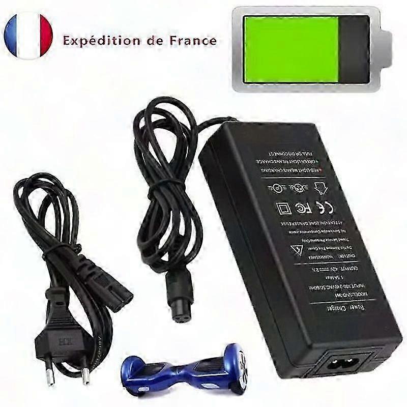 HoWay Hoverboard Charger for Self-Balancing Scooter