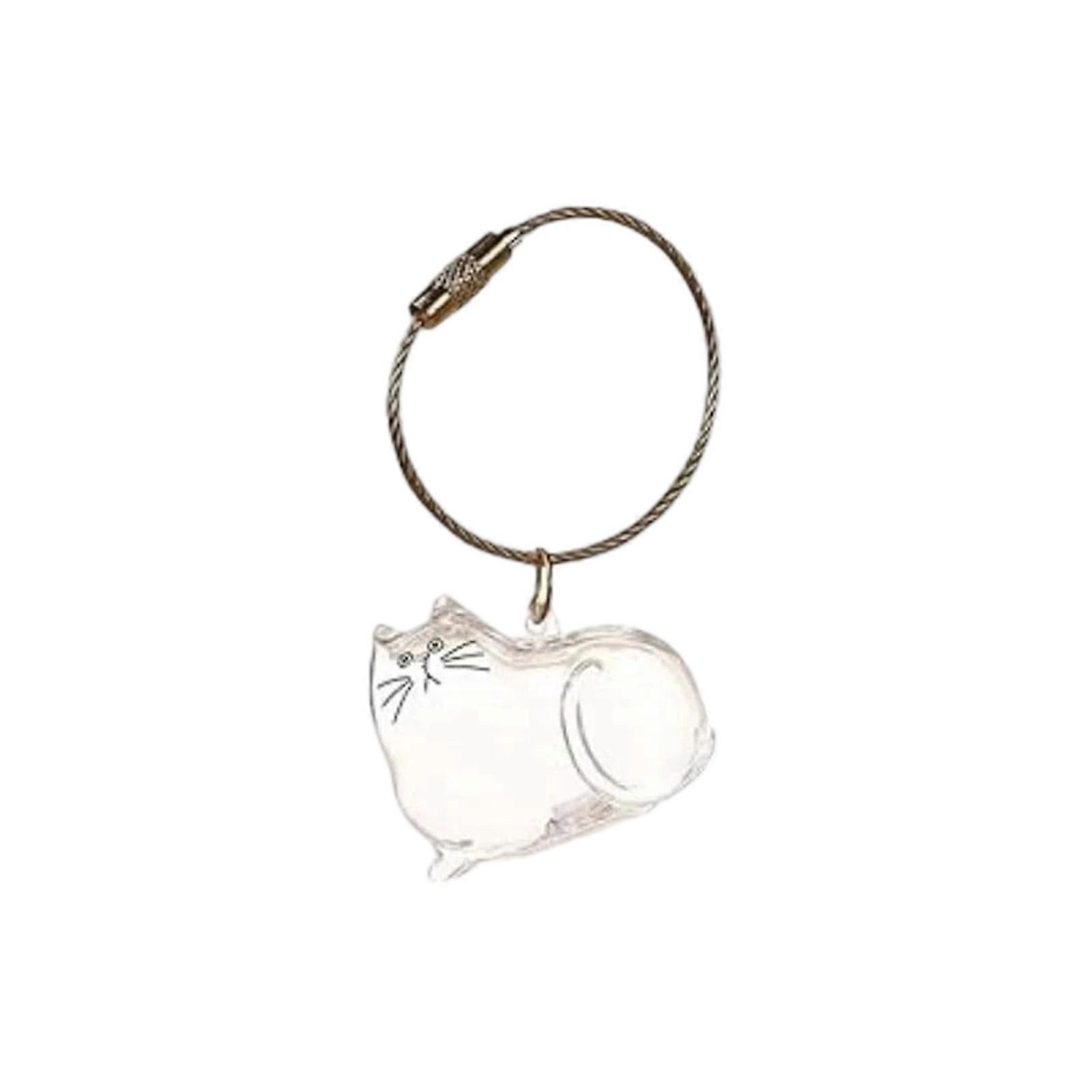 Transparent Cat Hair Storage Box Charm New