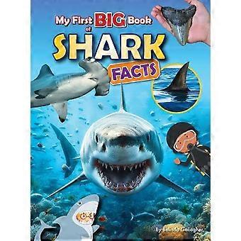 My First Big Book Of Shark Facts - Belinda Gallagher