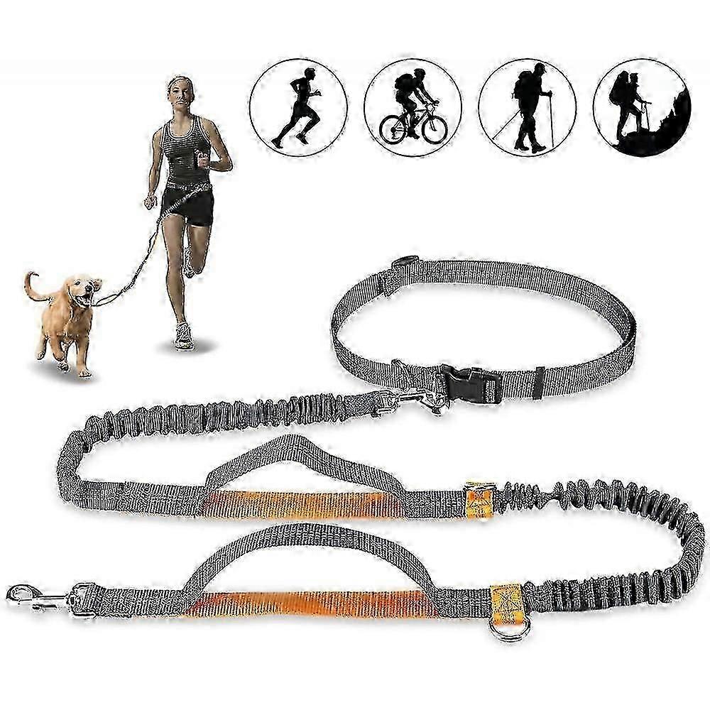 Hands Free Dog Leash, Adjustable Elastic Jogging Leash With Reflective Stitching For Dogs Up To 110 Kg