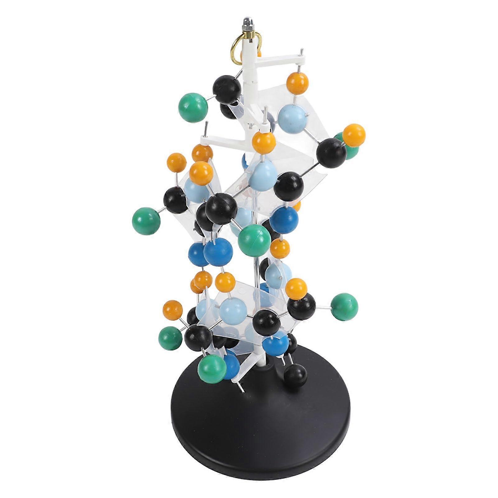 Protein Molecular Model Kit with ColorCoded Atoms for Clear 3D Visualization in Classroom Teaching