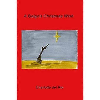 Der Weihnachtswunsch eines Galgos