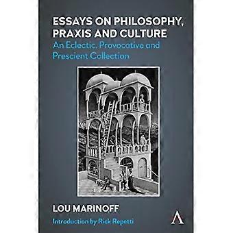 Essays über Philosophie, Praxis und Kultur: eine eklektische, provokative und vorausschauende Sammlung